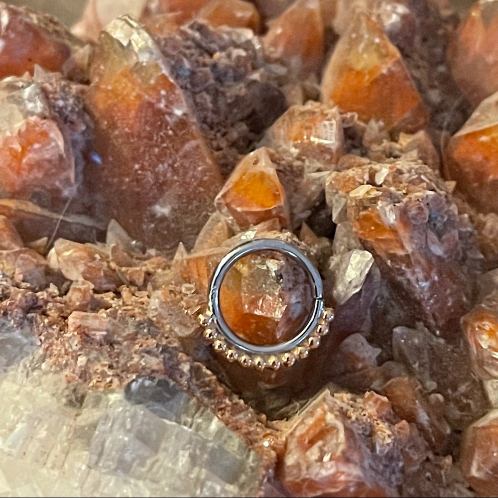 Anatometal Vaughn Seam Ring SS 18k Rose Gold 3/8” Diameter - Picture 5 of 8